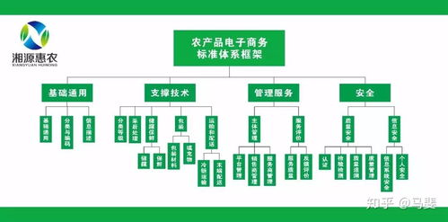 構(gòu)建智能引領(lǐng)的農(nóng)產(chǎn)品電商標(biāo)準(zhǔn)體系 標(biāo)準(zhǔn)化、系統(tǒng)化與工程化路徑